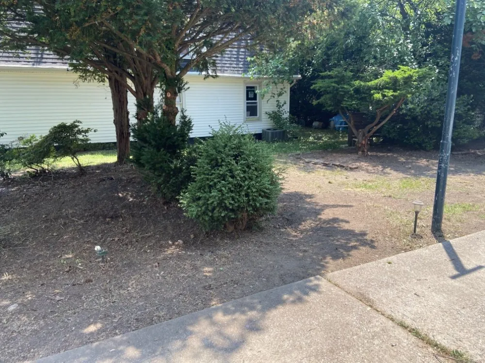 Custom landscape design experts serving Pennsauken Township, NJ - Beyond Cutting Edge Landscaping