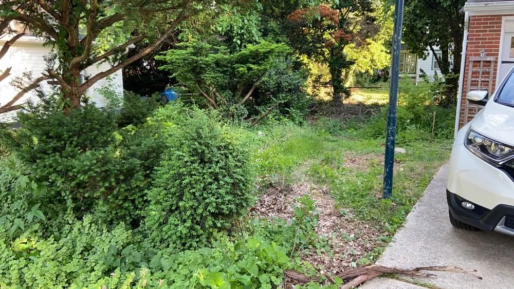 Custom residential landscaping for beautiful yards in Pennsauken Township, NJ by Beyond Cutting Edge Landscaping