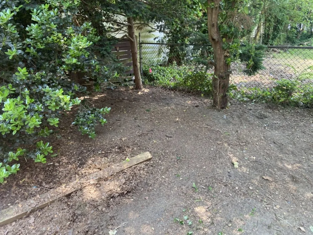 Professional residential landscaping experts serving Pennsauken Township, NJ - Beyond Cutting Edge Landscaping