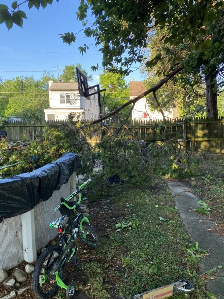 Custom residential landscaping for residential properties in Pennsauken Township, NJ by Beyond Cutting Edge Landscaping