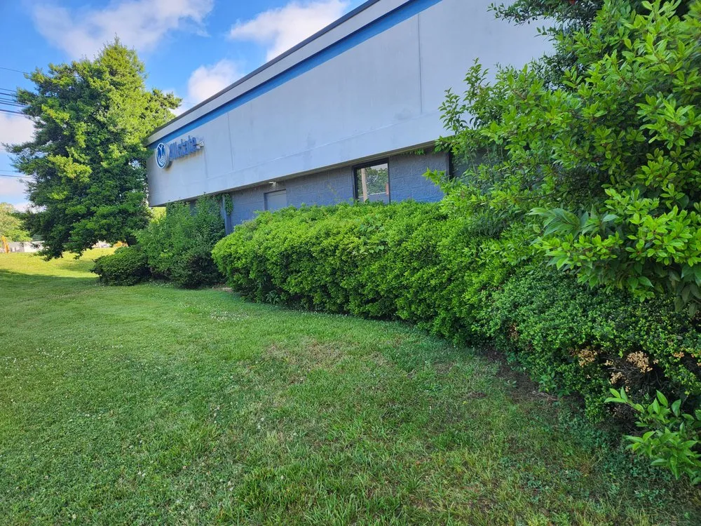 Reliable outdoor landscaping experts serving Statesville, NC - Beyond Cutz Lawn