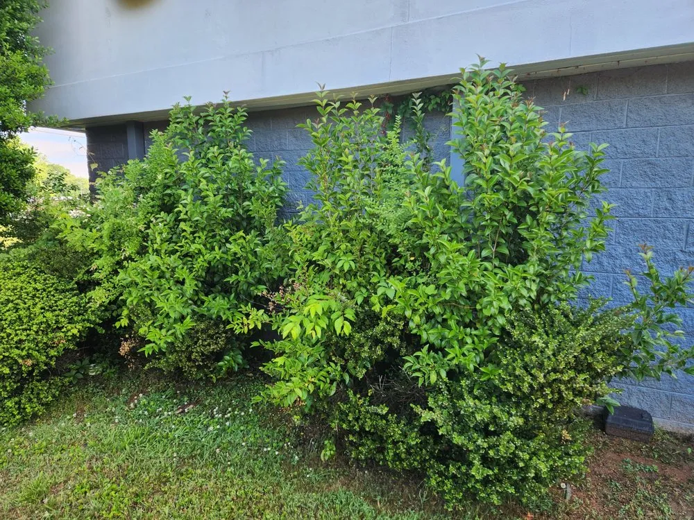 Custom landscaping services in Statesville, NC - Beyond Cutz Lawn