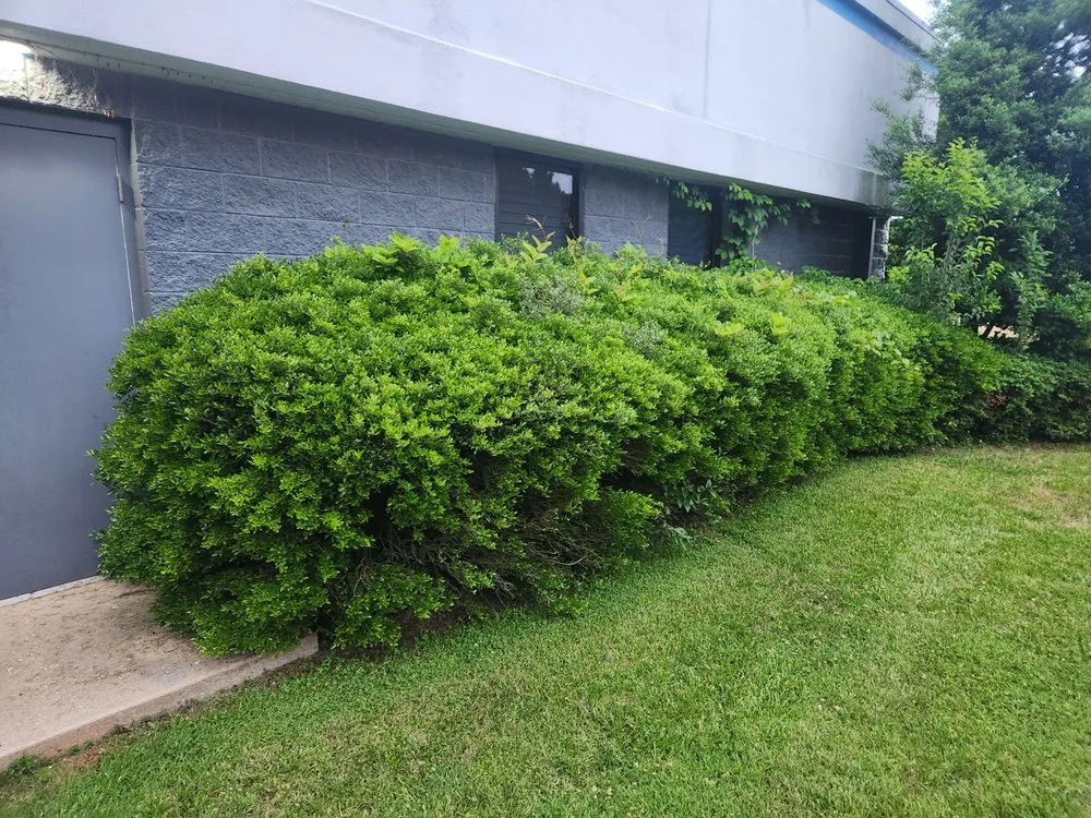 Trusted lawn mowing service experts serving Statesville, NC - Beyond Cutz Lawn