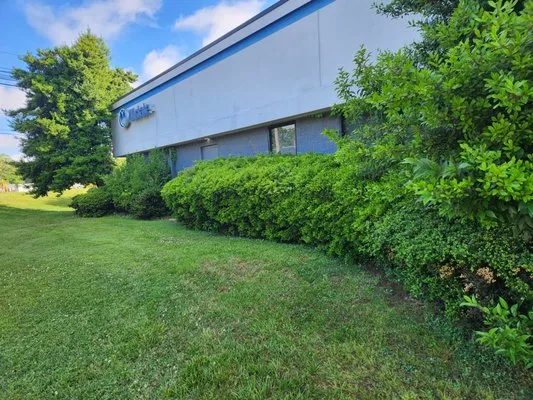 Beyond Cutz Lawn Logo