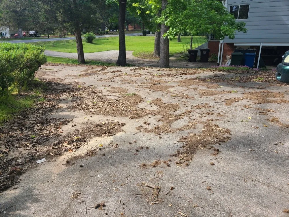 Reliable landscaping services near you across Durham, NC - Beyond Green Landscaping