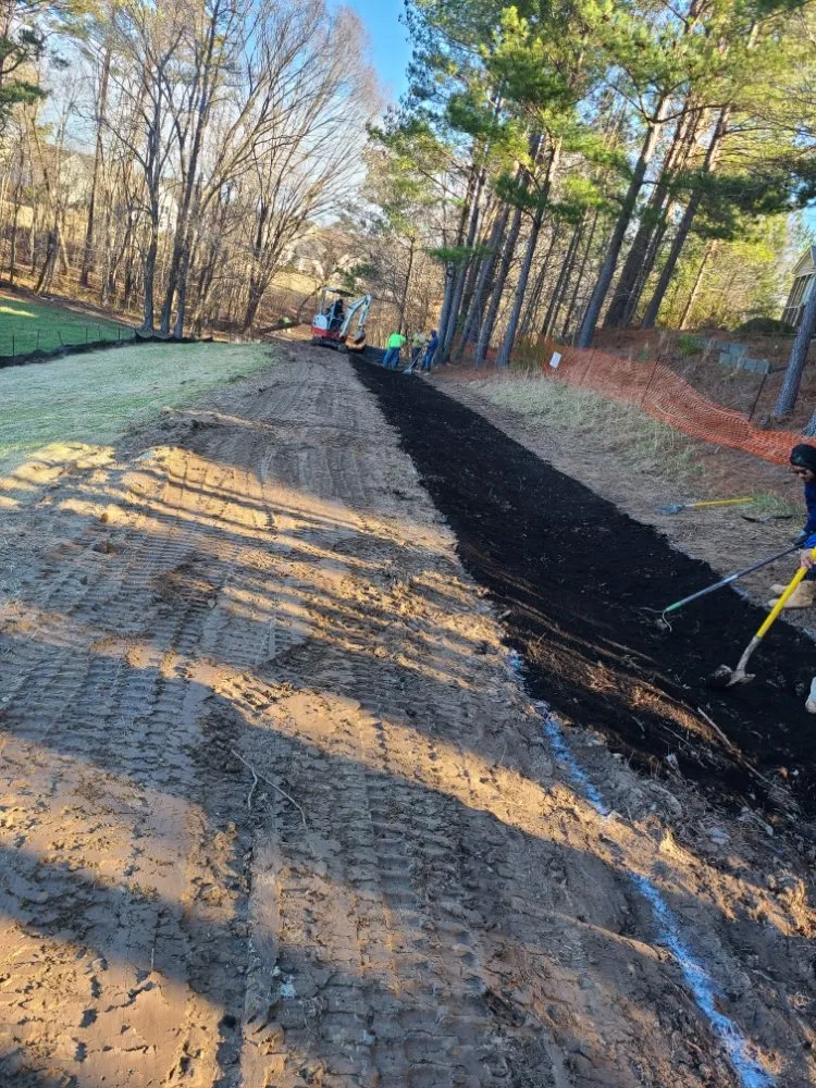 Trusted lawn care service in Durham, NC by Beyond Green Landscaping