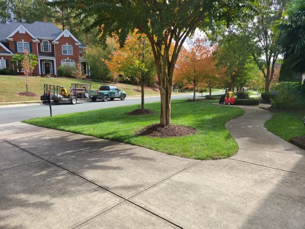 Professional landscape installation for year-round maintenance across Durham, NC - Beyond Green Landscaping