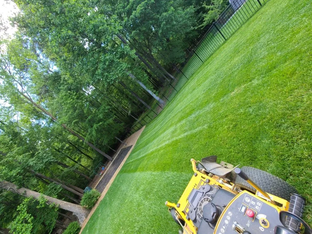 Custom garden landscaping experts serving Durham, NC - Beyond Green Landscaping