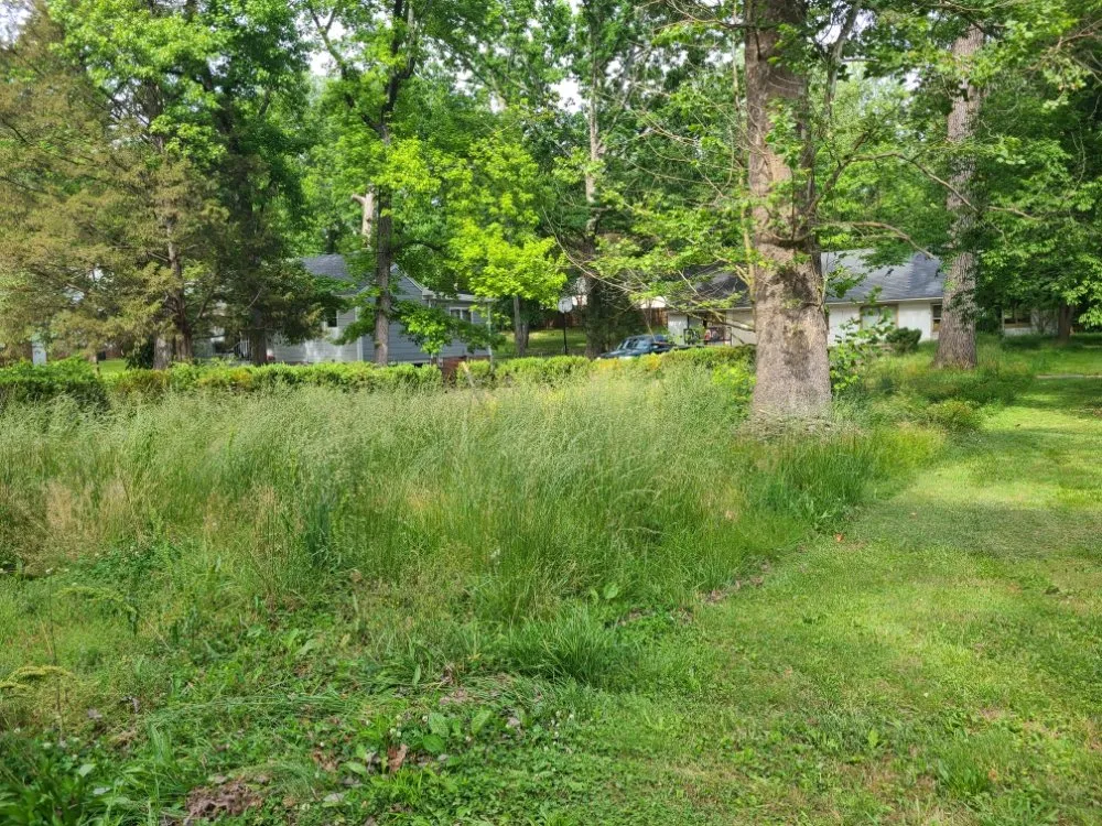 Professional lawn mowing service near you in Durham, NC by Beyond Green Landscaping