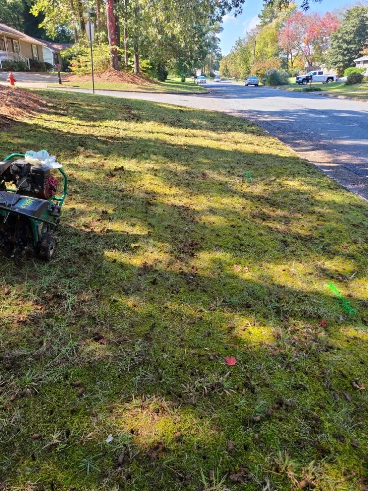 Local residential landscaping in Durham, NC - Beyond Green Landscaping