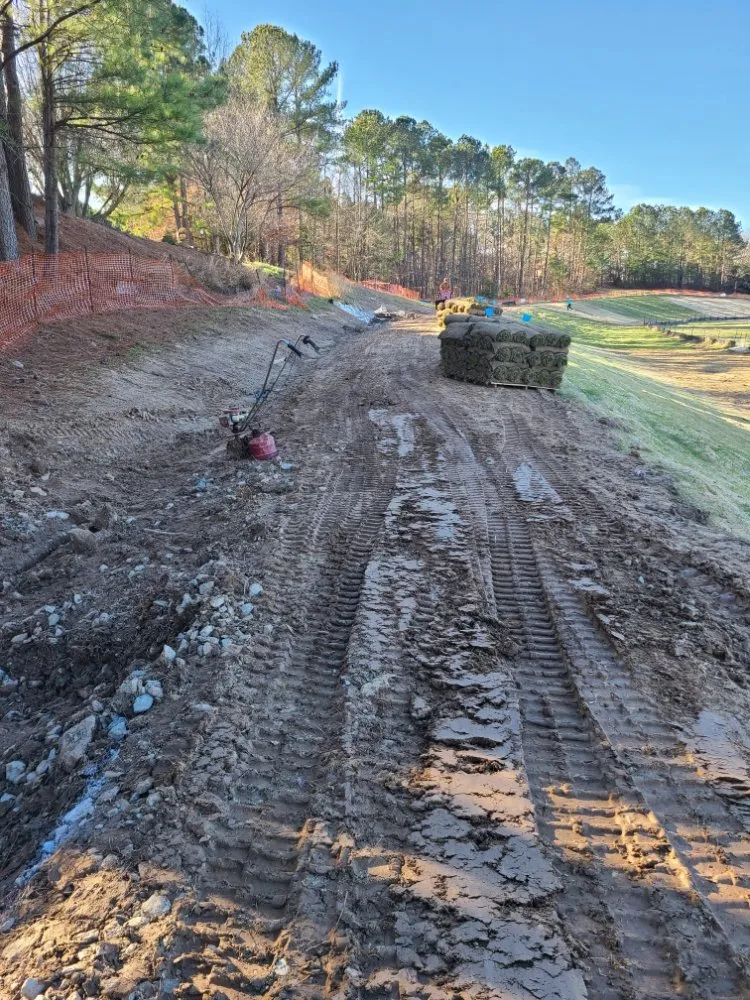 Top-rated garden landscaping in Durham, NC - Beyond Green Landscaping