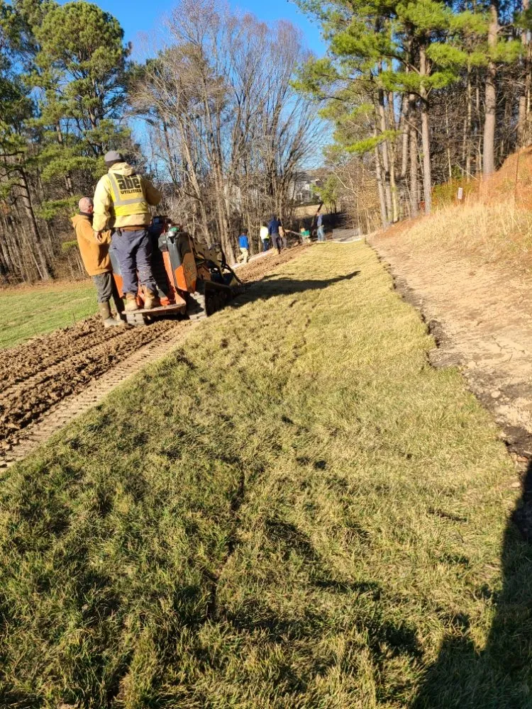 Expert landscape installation in Durham, NC by Beyond Green Landscaping