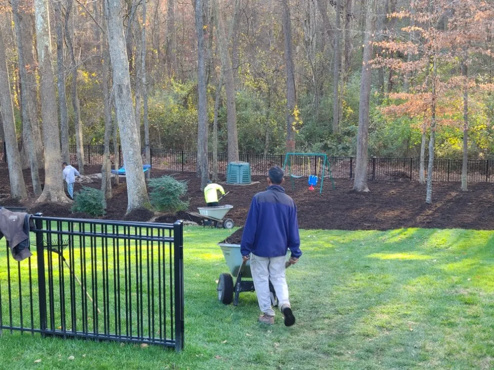 Affordable landscape design for beautiful yards across Durham, NC - Beyond Green Landscaping
