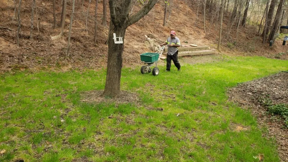 Top-rated lawn mowing service for beautiful yards in Durham, NC by Beyond Green Landscaping