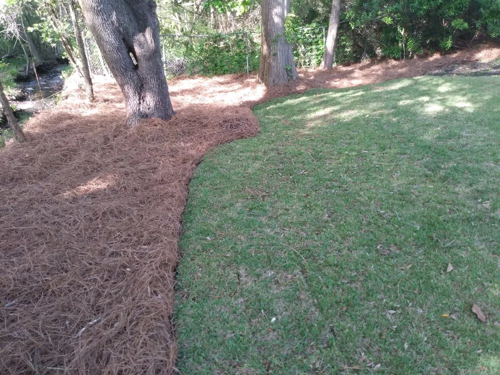Local residential landscaping with custom design across St Stephen, SC - Beyond Green Property Care