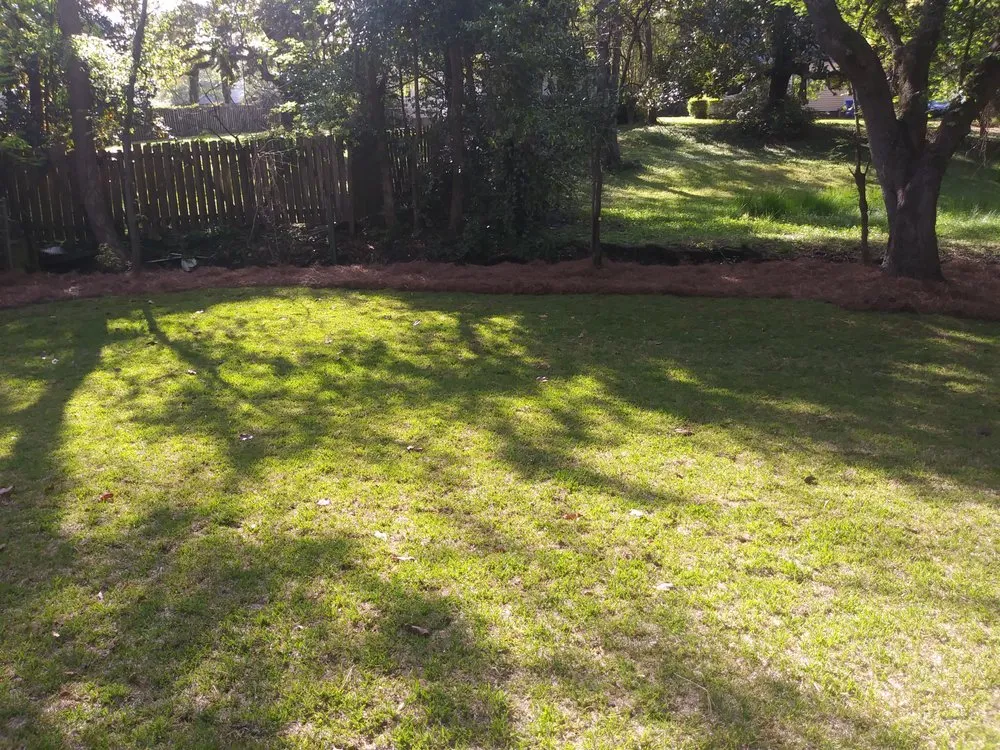 Trusted yard maintenance for year-round maintenance across St Stephen, SC - Beyond Green Property Care