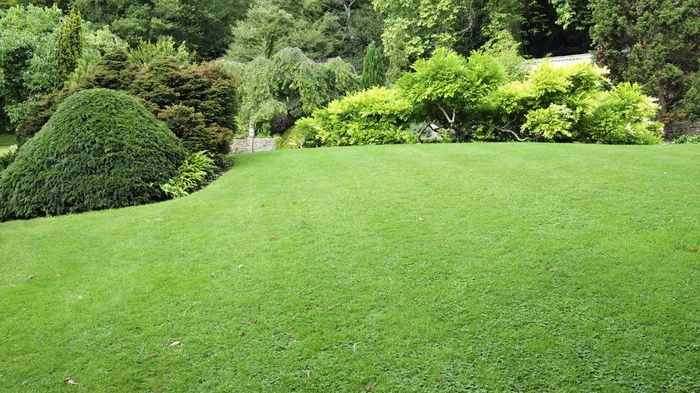 Reliable garden landscaping in St Stephen, SC - Beyond Green Property Care