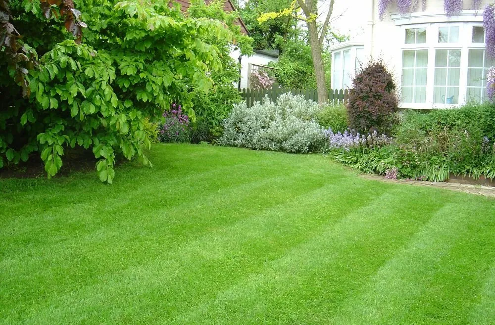 Affordable lawn mowing service for beautiful yards in St Stephen, SC by Beyond Green Property Care