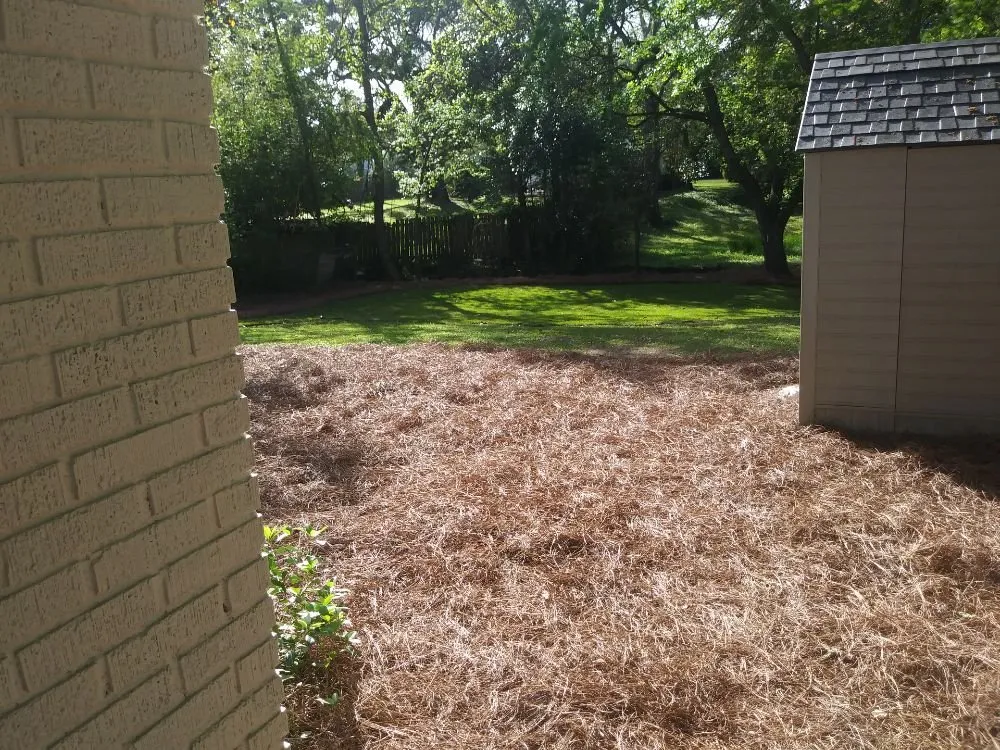 Local lawn care service in St Stephen, SC - Beyond Green Property Care