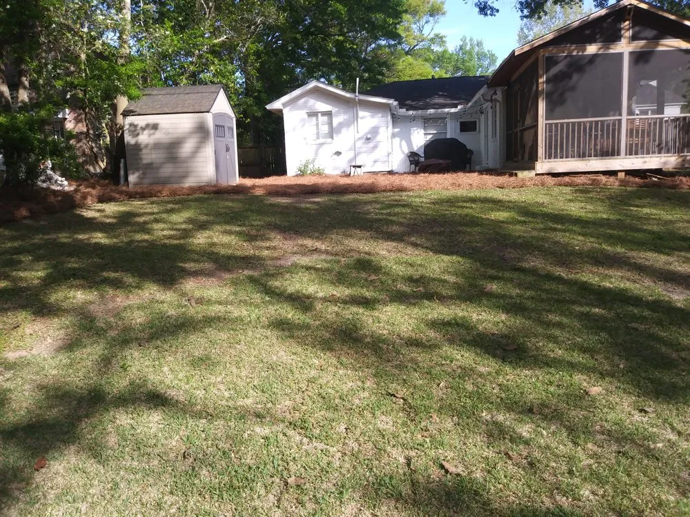 Expert yard cleanup service for beautiful yards across St Stephen, SC - Beyond Green Property Care