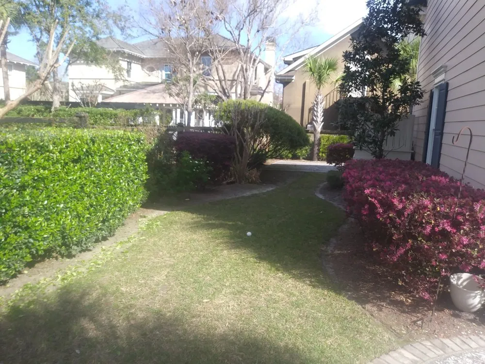 Trusted residential landscaping for outdoor upgrades across St Stephen, SC - Beyond Green Property Care