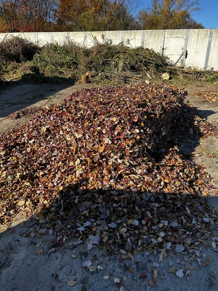 Local yard cleanup service experts serving Mount Wolf, PA - Beyond Handyman Services