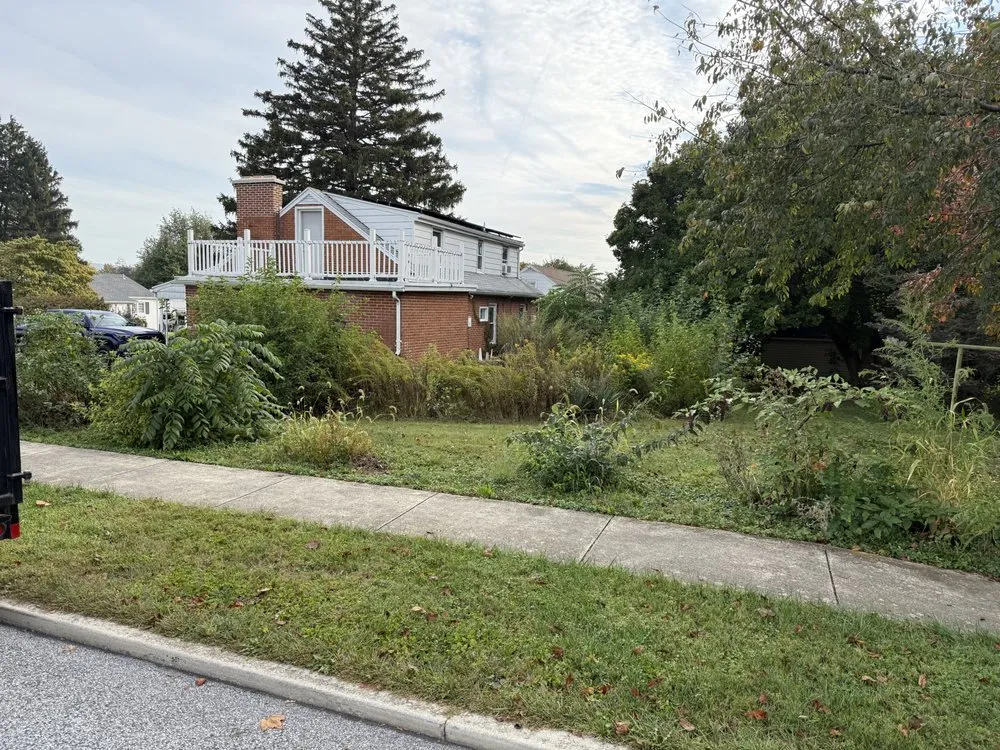 Affordable yard maintenance in Mount Wolf, PA - Beyond Handyman Services