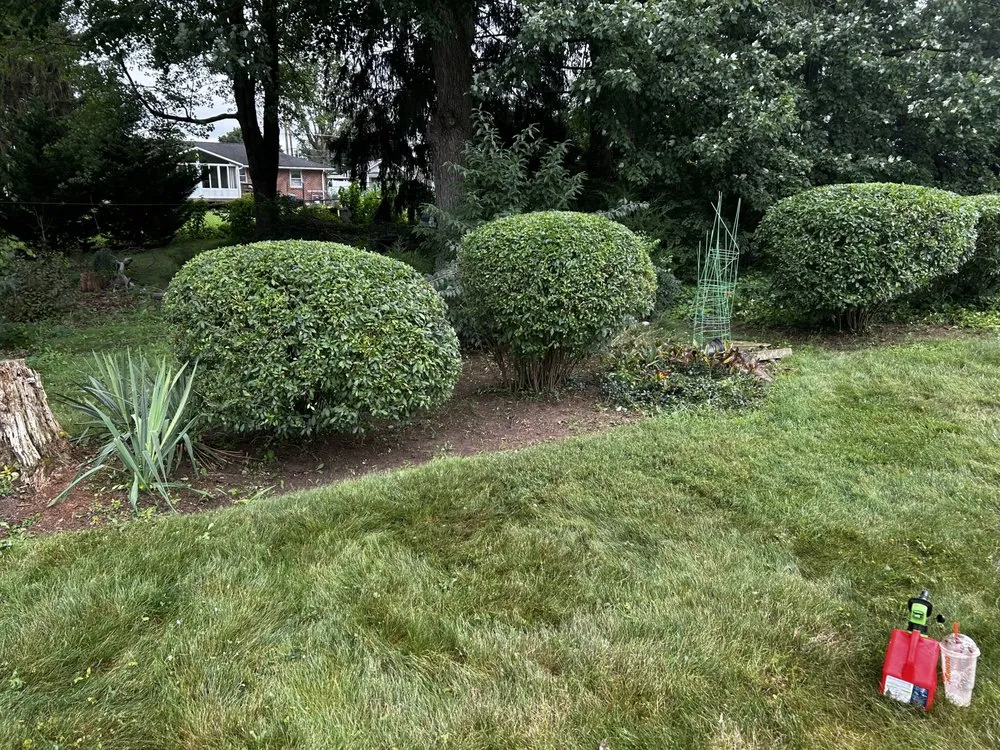 Custom landscape installation experts serving Mount Wolf, PA - Beyond Handyman Services
