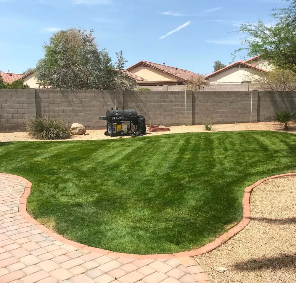 Reliable yard maintenance in Phoenix, AZ by Beyond Landscape & Outdoor