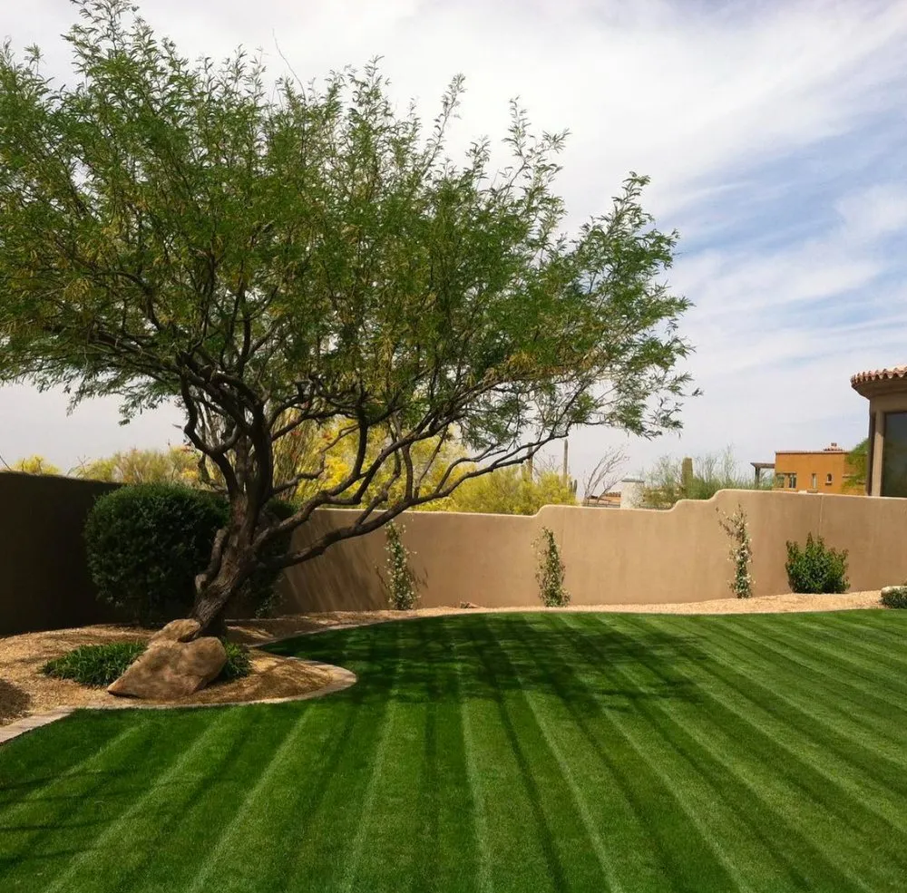 Trusted landscape design near you in Phoenix, AZ by Beyond Landscape & Outdoor