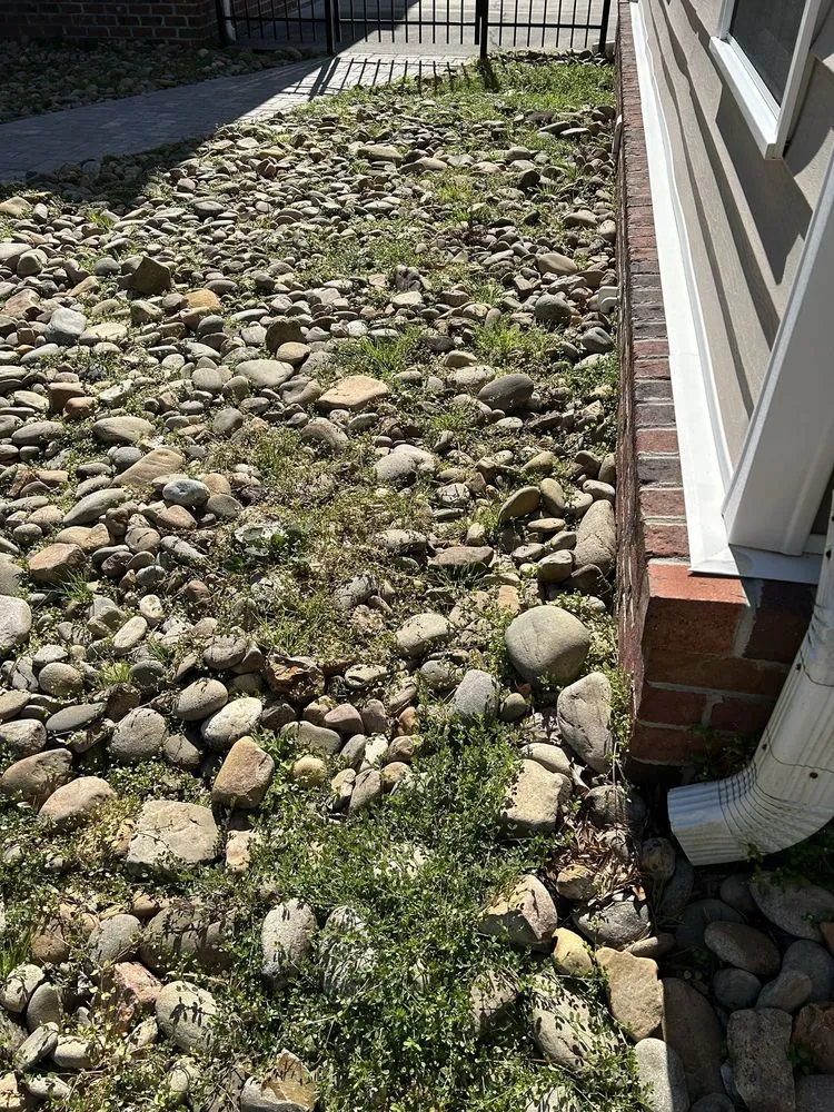 Professional garden landscaping in Myrtle Beach, SC by Beyond Landscapes