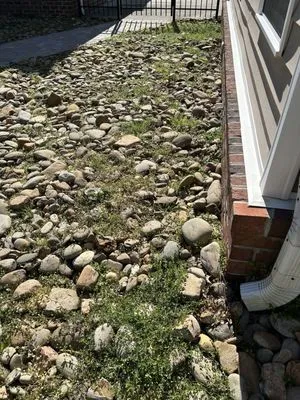 Beyond Landscapes Logo