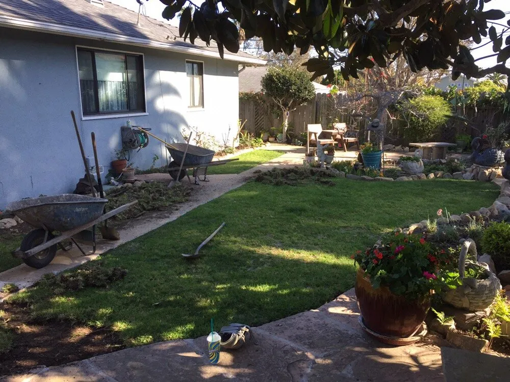 Top-rated yard maintenance near you in Goleta, CA by Beyond Landscaping