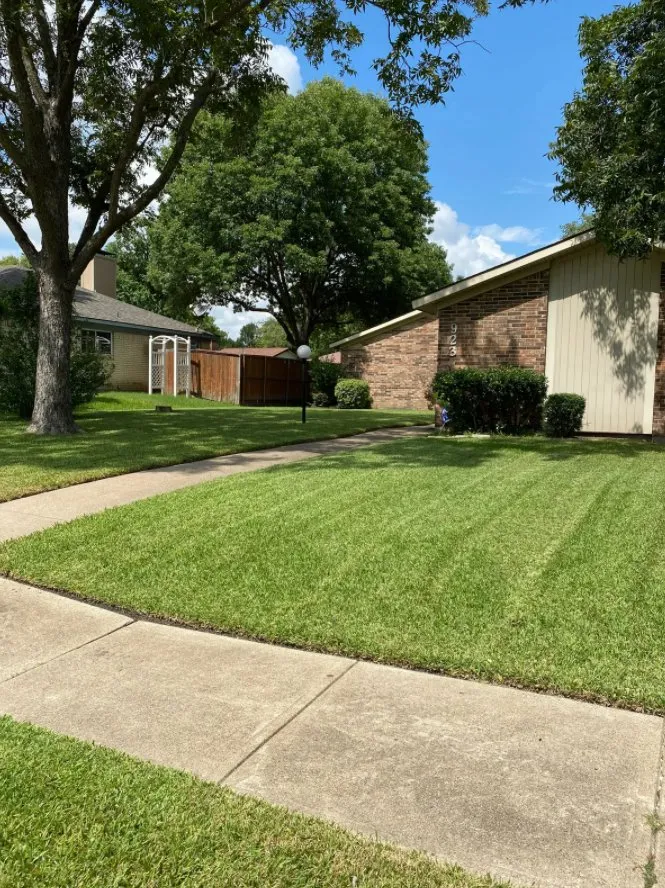 Trusted yard cleanup service in Mesquite, TX - Beyond Lawn Care & Landscaping