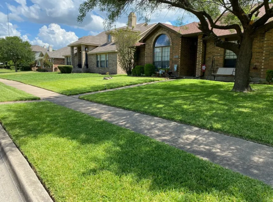 Professional landscaping services in Mesquite, TX - Beyond Lawn Care & Landscaping