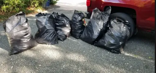 Affordable yard maintenance in Mesquite, TX by Beyond Lawn Care & Landscaping