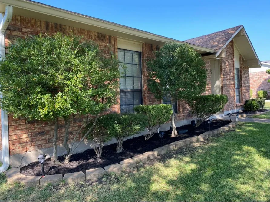 Trusted lawn mowing service near you across Mesquite, TX - Beyond Lawn Care & Landscaping