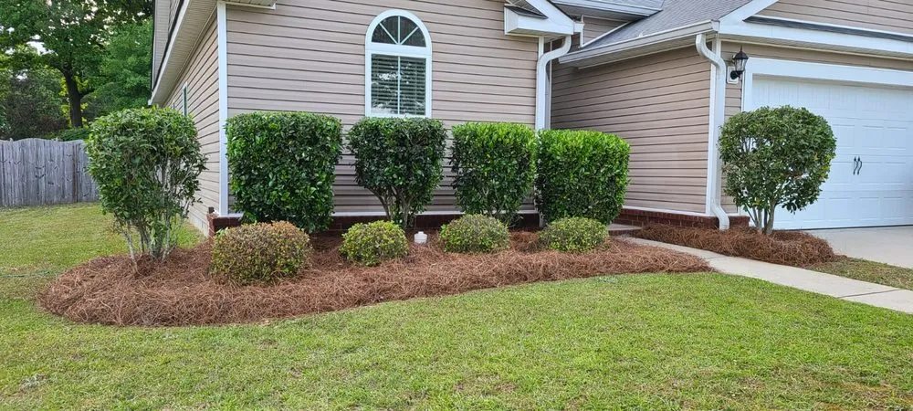 Expert yard cleanup service for beautiful yards in Bonaire, GA by Beyond Lawn Care GA