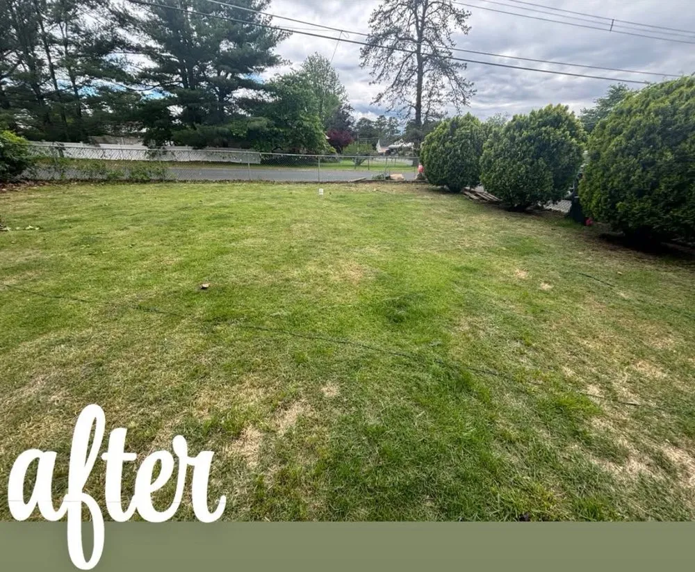 Local lawn mowing service in Browns Mills, NJ - Beyond Lawn Mowing