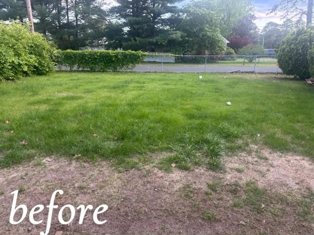 Expert landscape installation in Browns Mills, NJ by Beyond Lawn Mowing
