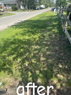 Beyond Lawn Mowing Logo