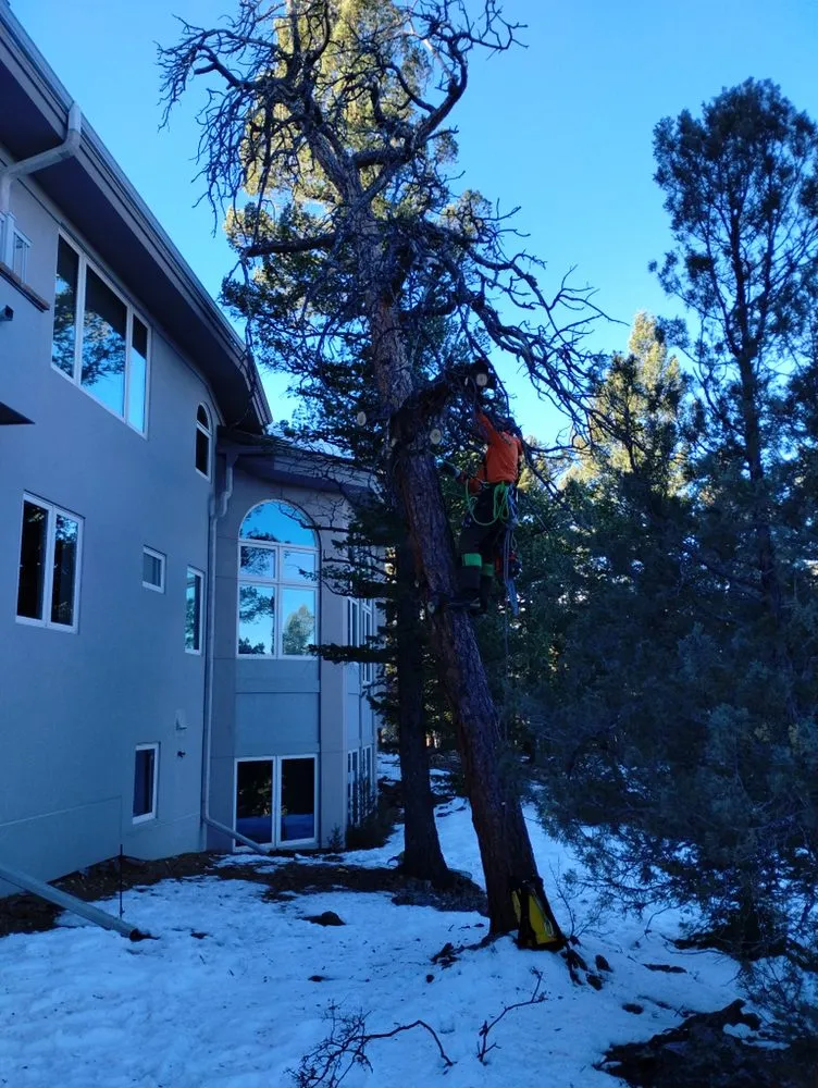 Trusted landscape installation in Estes Park, CO by Beyond Services Group