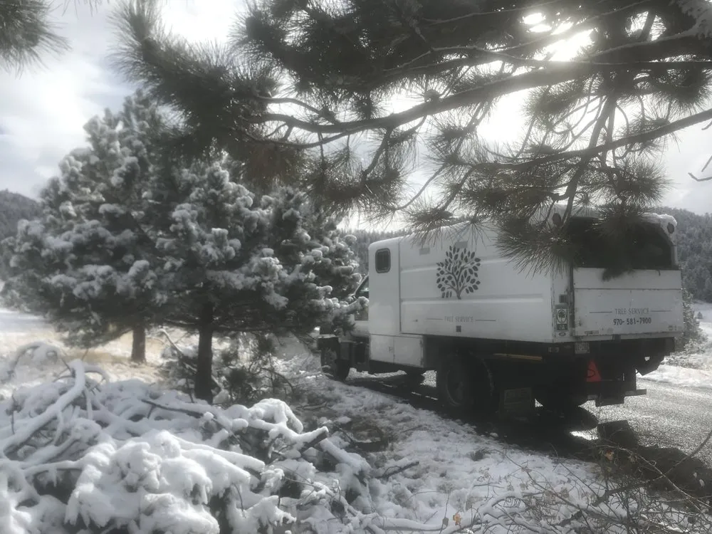 Top-rated outdoor landscaping for year-round maintenance in Estes Park, CO by Beyond Services Group