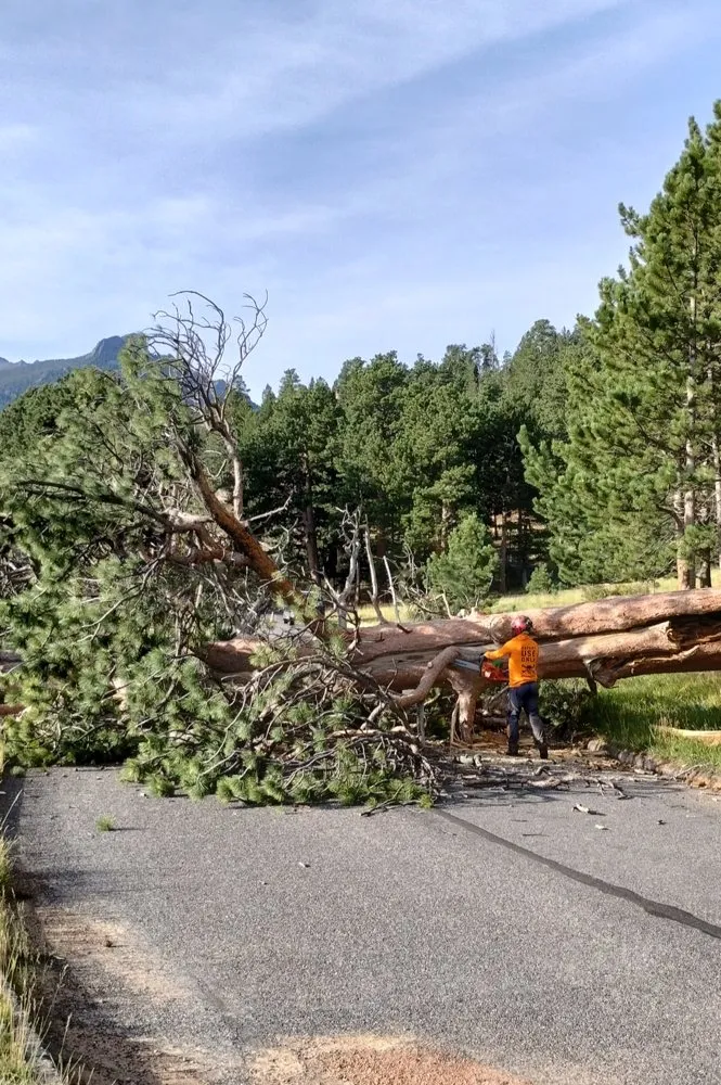Local yard cleanup service for outdoor upgrades in Estes Park, CO by Beyond Services Group