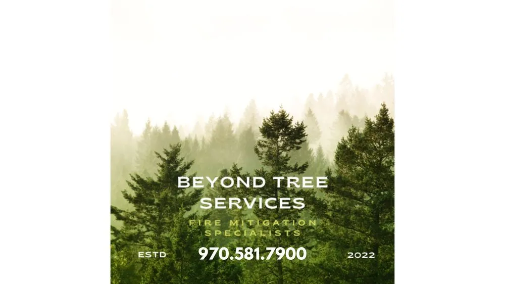 Custom yard maintenance in Estes Park, CO by Beyond Services Group
