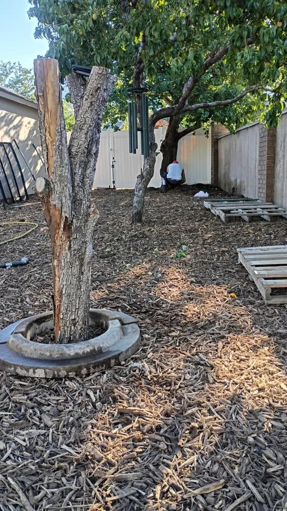 Trusted yard cleanup service in Brigham City, UT by Beyond The Bush & Brick