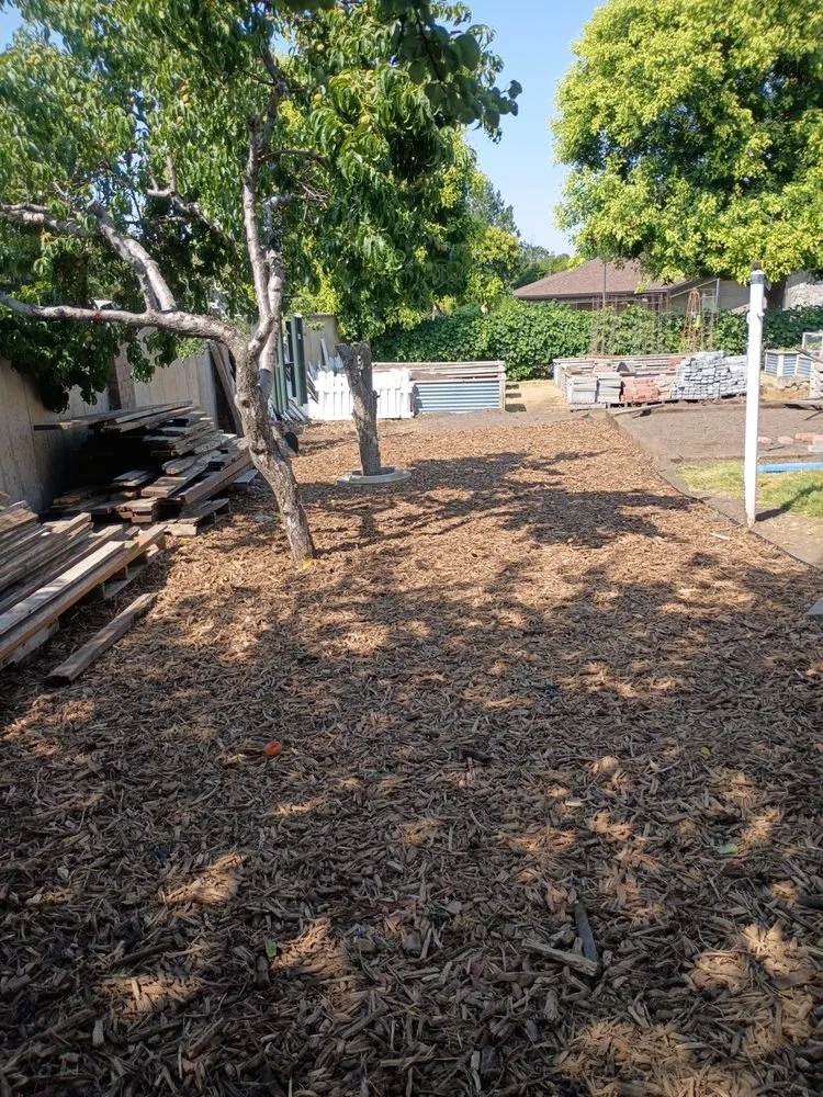 Custom yard cleanup service experts serving Brigham City, UT - Beyond The Bush & Brick