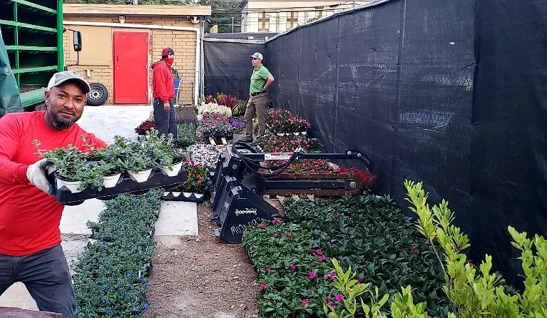 Affordable lawn care service for year-round maintenance across Atlanta, GA - Beyond the Curb Landscaping