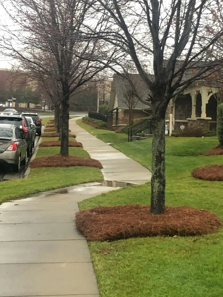 Custom landscape installation with custom design in Cornelius, NC by Beyond The Cut