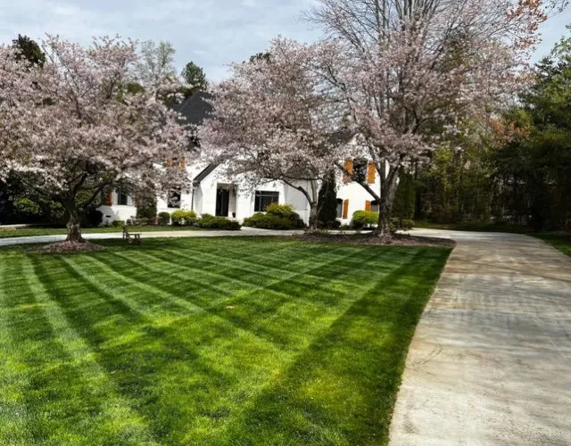 Custom garden landscaping experts serving Cornelius, NC - Beyond The Cut